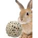 Bonka Bird Toys Sola Atta Balls - Organic Foot Beak Chew Toy for Small Pets - Pack of 3 - Buy Online on GoSupps.com