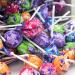 Tootsie Pops Wild Berry Flavors with Chocolatey Center 100 Count - 3.75 lb Pack - Peanut Free, Gluten Free - Buy Online on GoSupps.com