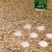 Vermiculite Fine 2-3 mm Terrarium Substrate - Ideal for Reptile Breeding & Incubation | Sterile & Germ-Free (4 Liters) - Buy Online on GoSupps.com