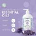 Capri Essentials White Lavender Hand Soap - Natural, Plant-Based, Chemical-Free (16 oz) - Buy Online on GoSupps.com