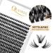 Premium 50D Individual False Eyelashes - 0.07D Curl 8-14mm Mix Reusable DIY Cluster Lashes for Flawless Eye Makeup - Buy Online on GoSupps.com
