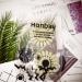 Honbay 20PCS Plastic False Nail Swatches Wheels - Manicure Color Display Wheel - Buy Online on GoSupps.com