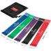 Buy Fitness Band Set - Resistance Tapes & Training Book for Strength & Yoga | 5-Piece Gymnastics & Booty Bands for Home Workout - Buy Online on GoSupps.com
