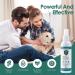 Noobecr Cat Spray Deterrent - Indoor and Outdoor Cat Repellent for Scratching Prevention and Boundary Control - Green - Buy Online on GoSupps.com