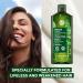 Yves Rocher Fortifying Density Shampoo - Cleanse Scalp & Strengthen Hair | 10.1 fl oz - International Shipping Available - Buy Online on GoSupps.com