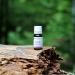Lavender Essential Oil - 100% Pure & Natural 10ml UNDILUTED - Premium Scent for Aromatherapy & Relaxation - Buy Online on GoSupps.com