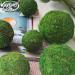 Kaveno Green Moss Decorative Balls - Set of 12 Natural Green Spheres 2.4 - Buy Online on GoSupps.com