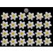 24 x edible 3D Wild Daffodils flowers icing toppers cake cupcakes decorations (Yellow)