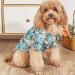 Yanmucy Hawaii Shirt for Small Dogs - 2-Piece Cool & Breathable Summer Pet Apparel with Coconut Tree & Palm Leaves - Perfect for Small Pets - Buy Online on GoSupps.com