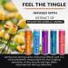 Xero Picks Wellness - Infused Flavored Toothpicks for Fresh Breath & Dry Mouth Prevention - 100 Picks - Variety 5 Pack - 20 Count x 5 Pack - Buy Online on GoSupps.com