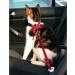 Buy Trixie Car Point for Cats - 1 Piece (Red) | International Shipping & Best Prices - Buy Online on GoSupps.com