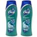 Dial Skin Therapy Enriching Body Wash, Sea Minerals 16 oz (Pack of 2)