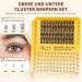 QUEWEL Eyelash Extensions Set - Upper & Lower Cluster Lashes with Durable Glue | DIY Easy Lash Extension for Beginners | Effortless Big Eyes (EASY01) - Buy Online on GoSupps.com