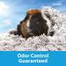 Kaytee Clean & Cozy Bedding White - 49.2 Liters - Premium Pet Bedding - Buy Online on GoSupps.com