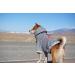 Pupreme ChoChoCho Dog Hoodie | Fashionable Gray Dog Sweater | Stylish Pet Clothing for Small to Large Dogs - Buy Online on GoSupps.com