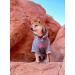 Pupreme ChoChoCho Dog Hoodie | Fashionable Gray Dog Sweater | Stylish Pet Clothing for Small to Large Dogs - Buy Online on GoSupps.com