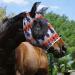Harrison Howard Large Fly Mask - Super Comfort UV Protection & Breathability for Horses - Buy Online on GoSupps.com