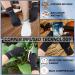2 Pairs Copper Arthritis Gloves for Pain Relief - Fingerless Compression Gloves for Carpal Tunnel, Osteoarthritis, Joint Pain - Hand Support for Men and Women (Black, Large) - Pack of 4 - Buy Online on GoSupps.com