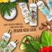 INECTO Natural Coconut Conditioner 500ml Super Creamy Infused with Pure Organic Coconut Oil Smooth & Silky Relief Moisturized Hair - Buy Online on GoSupps.com