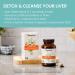 Himalaya LiverCare 375mg - 42 Capsules | Total Liver Support, Cleanse & Detox | Protects Cells & Enzymes | 3 Week Supply | 42 Count - Buy Online on GoSupps.com