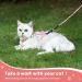 Petom Flower Pattern Cat Dishes & Leash Set | Round Lanyard for Cats - Shop Internationally! - Buy Online on GoSupps.com