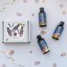 Shop Absolute Aromas Body Balancing Massage Oils | Premium Quality International Shipping - Buy Online on GoSupps.com
