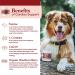 FERA Cardiac Support Supplement | Dogs Cats | Taurine, L-Carnitine, CoQ10, Hawthorn, Vitamin E | Promotes Heart Health & Circulation | 120 Capsules - Buy Online on GoSupps.com
