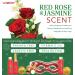 Red Rose Jasmine Home Spa Set: Bath and Body Gift Box for Him | Christmas Gifts | Fragrant Bubble Bath, Gold Bath Bombs, Red Glitter Gel Eye Mask and More - Buy Online on GoSupps.com