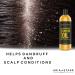 Aria Starr Castor Oil Cold Pressed - 16 FL OZ - 100% Pure Hair Growth Oil for Face, Skin, Scalp, Eyebrows, and Eyelashes - Buy Online on GoSupps.com