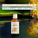 Buy Puressentiel Organic Calophyllum Vegetable Oil 50ml - Natural Skin Care for All International Shipping Available - Buy Online on GoSupps.com
