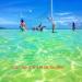 Professional Heavy Duty Volleyball Net Outdoor | 32x3FT Portable Net for Backyard, Pool, Schoolyard, Beach | Aircraft Steel Cable | Badminton/Pro Set - Buy Online on GoSupps.com