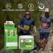 SaltStick DrinkMix Electrolyte Powder - Sugar Free Lemon Lime | Hydration Drink Mix | 40 Servings | No Artificial Sweeteners - Buy Online on GoSupps.com