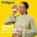 Wellgard Gutstar Probiotics - 16 Strain Probiotics for Gut Health with Fennel and Ginger Vegan UK Made - Buy Online on GoSupps.com