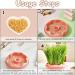 KASESSS Cat Grass Planter Soil Free Hydroponic Cat Grass Tray Round Catnip Cat Grass Box Indoor Cat Plant Planting Box Plastic Cat Grass Sprouting Trays for Cats Dogs and Other Pets (Pink) - Buy Online on GoSupps.com