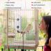Briidea Bird Warmer for Cage - USB 5V Heater for African Grey, Parakeets, Parrots, Small Birds - Buy Online on GoSupps.com