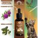 Adema Natural Wurmidin Liquid | Natural Worm Cure for Dogs Cats Rabbits Sheep Poultry & Birds | 50 ml Worm Treatment Alternative - Buy Online on GoSupps.com
