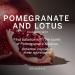 Victoria's Secret Pomegranate and Lotus Body Mist for Women Perfume with Notes of Pomegranate and Lotus Flowers Womens Body Spray Sheer Rejuvenation Women s Fragrance - 250 ml / 8.4 oz Pomegranate & Lotus - Buy Online on GoSupps.com