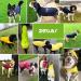Cellar Dog Rain Coat - Ultra-Light 100% Waterproof with Hood & Reflective Strip for Medium to Large Dogs - Green 6XL - Buy Online on GoSupps.com