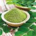 Buy GreatVita Organic Moringa Powder 400g - Pure Additive-Free Superfood for Energy & Wellness - International Shipping Available - Buy Online on GoSupps.com