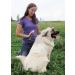 Bug Soother Spray 8 oz - Natural Insect Repellent - DEET-Free - Made in USA - Buy Online on GoSupps.com