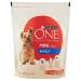 Purina One Mini <10kg Adult Dog Food with Beef and Rice 800 g