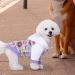 Miaododo XXL Violet Dog Hooded Sweater - Warm Chihuahua Clothing for Small & Medium Pets Stylish & Cozy Design - Buy Online on GoSupps.com