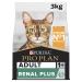 PRO PLAN Adult 1+ RENAL PLUS Rich in Chicken Dry Cat Food 3kg Chicken 1.2 kg (Pack of 1)