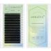 ANNAFRIS 3D W Lash Extension Premade Fan Lashes 0.07 L 8-14mm Russian Volume Eyelashes Pre Made 3D Lash Matte Black False Lashes(0.07 L 8-14mm) 3D-W 0.07 L 8-14mm MIX - Buy Online on GoSupps.com