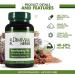 Dimmak Herbs Bone Mending Pills - Chinese Medicine Supplement for Bone Fracture Healing and Strengthening - 100 Capsules - Buy Online on GoSupps.com