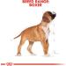 Royal Canin Boxer Junior 3.0 kg - Buy Online on GoSupps.com