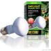 Exo Terra Daylight Basking Spot Lamp - 25W R20 E27 Broad Spectrum Metallic - Ideal for Reptiles & Amphibians | International Shipping Available - Buy Online on GoSupps.com