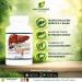 Manteniendo Tu Salud Limpiador H gado y Ves cula Liver Support Milk Thistle Extract 90 Capsules - Buy Online on GoSupps.com