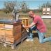 Shop Honey Trial Set - 4 Varieties of 100% German Honey | 4 x 28g - Honeyprinz Family Beekeeping - Buy Online on GoSupps.com