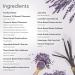 Puracy Natural Hand Soap - Lavender & Vanilla 12 fl oz | Gentle, Eco-Friendly Formula - Buy Online on GoSupps.com